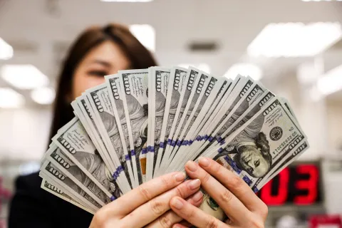 The Review Labs Money